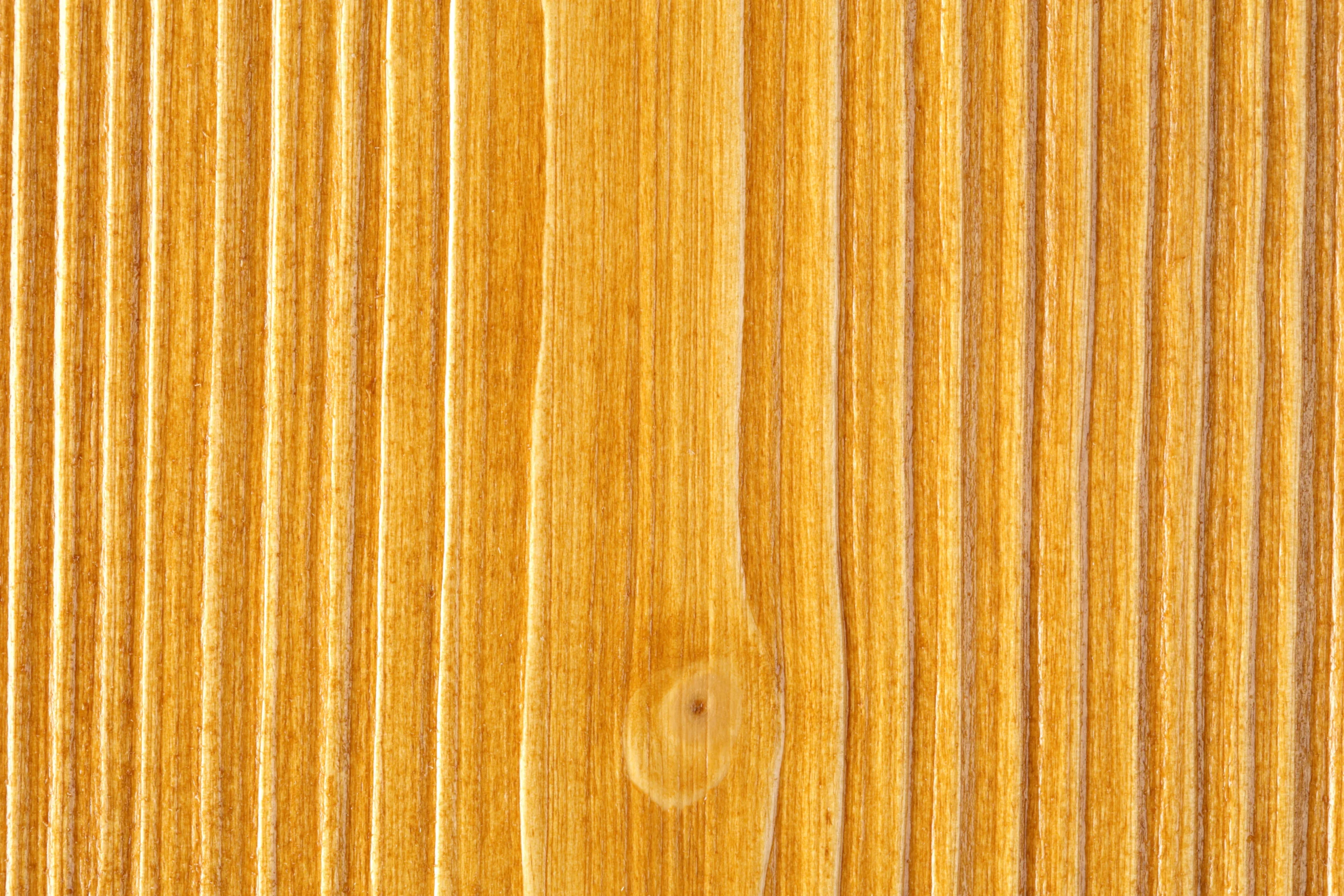 Douglas rusticato cerato
