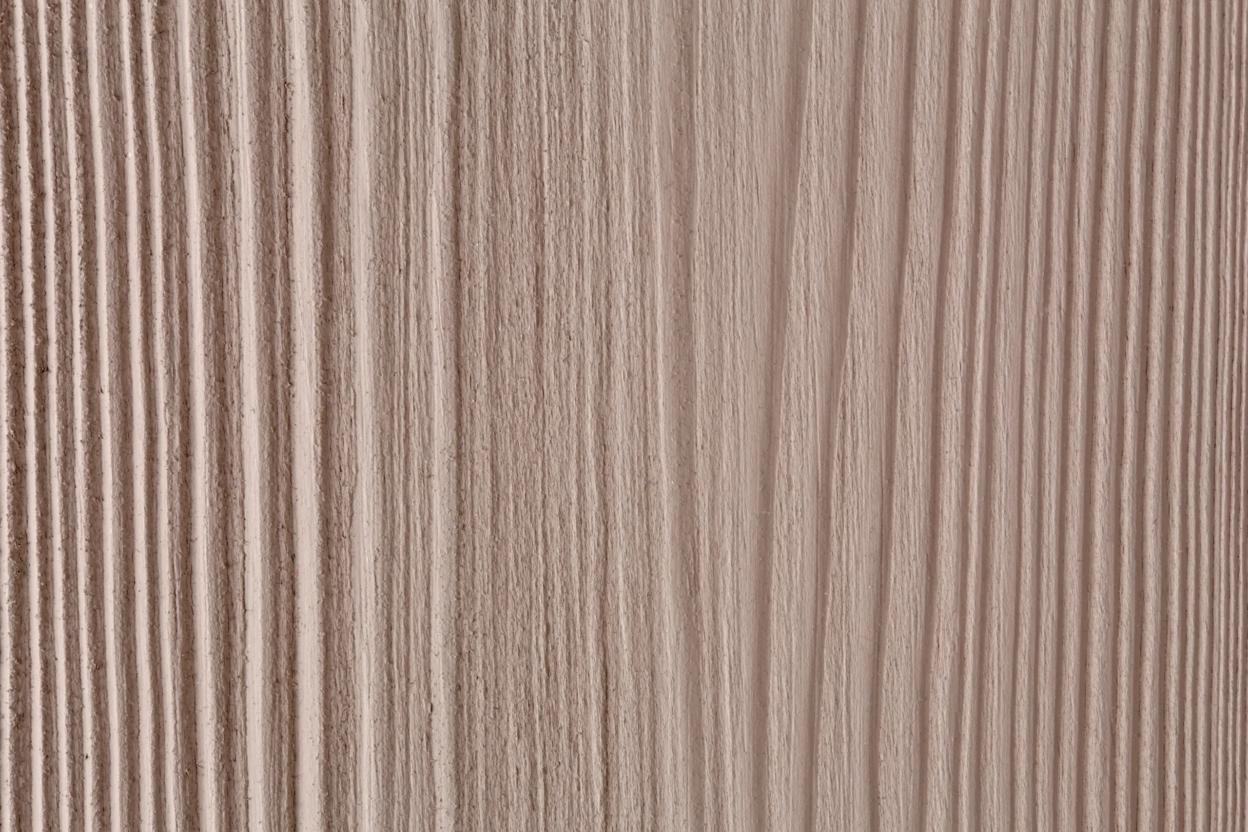 Tortora rusticato